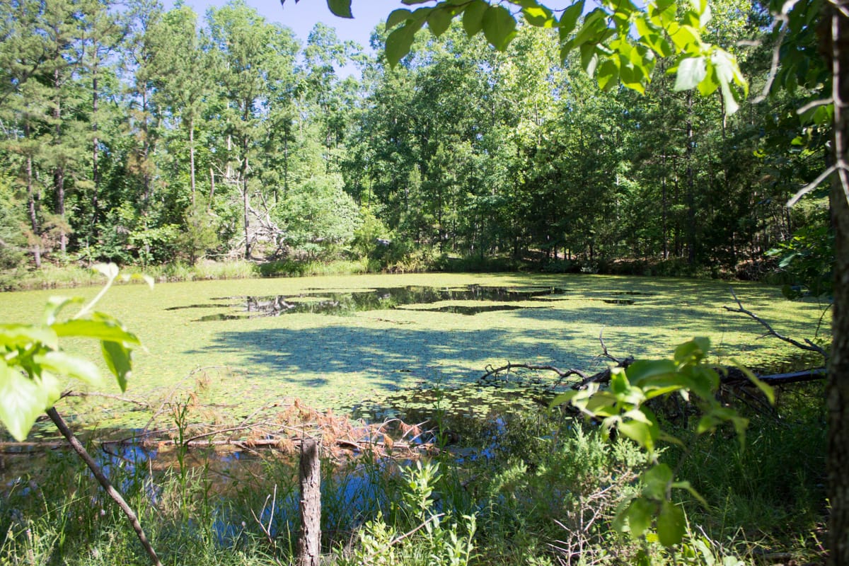 Timber Crossing Tract 5 photo 1
