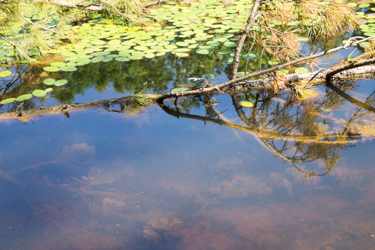 Timber Crossing Tract 5 photo 22