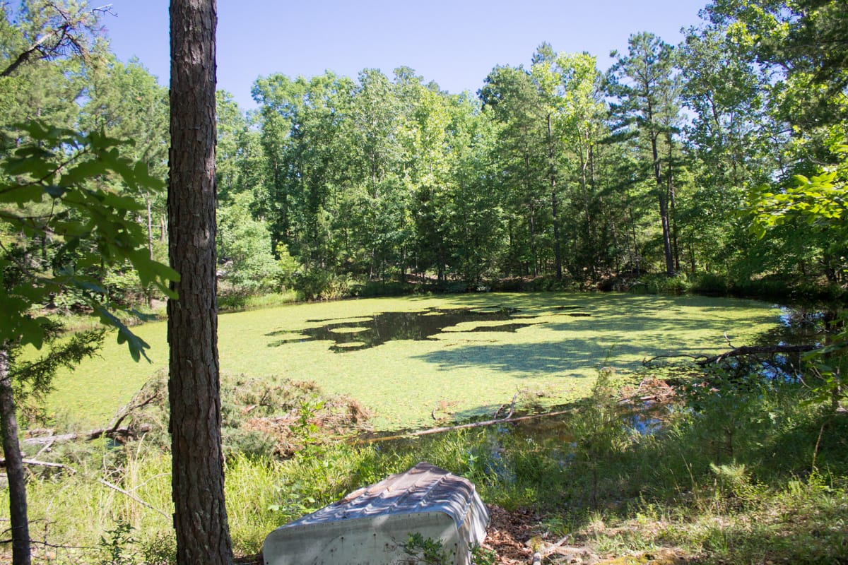 Timber Crossing Tract 5 photo 23