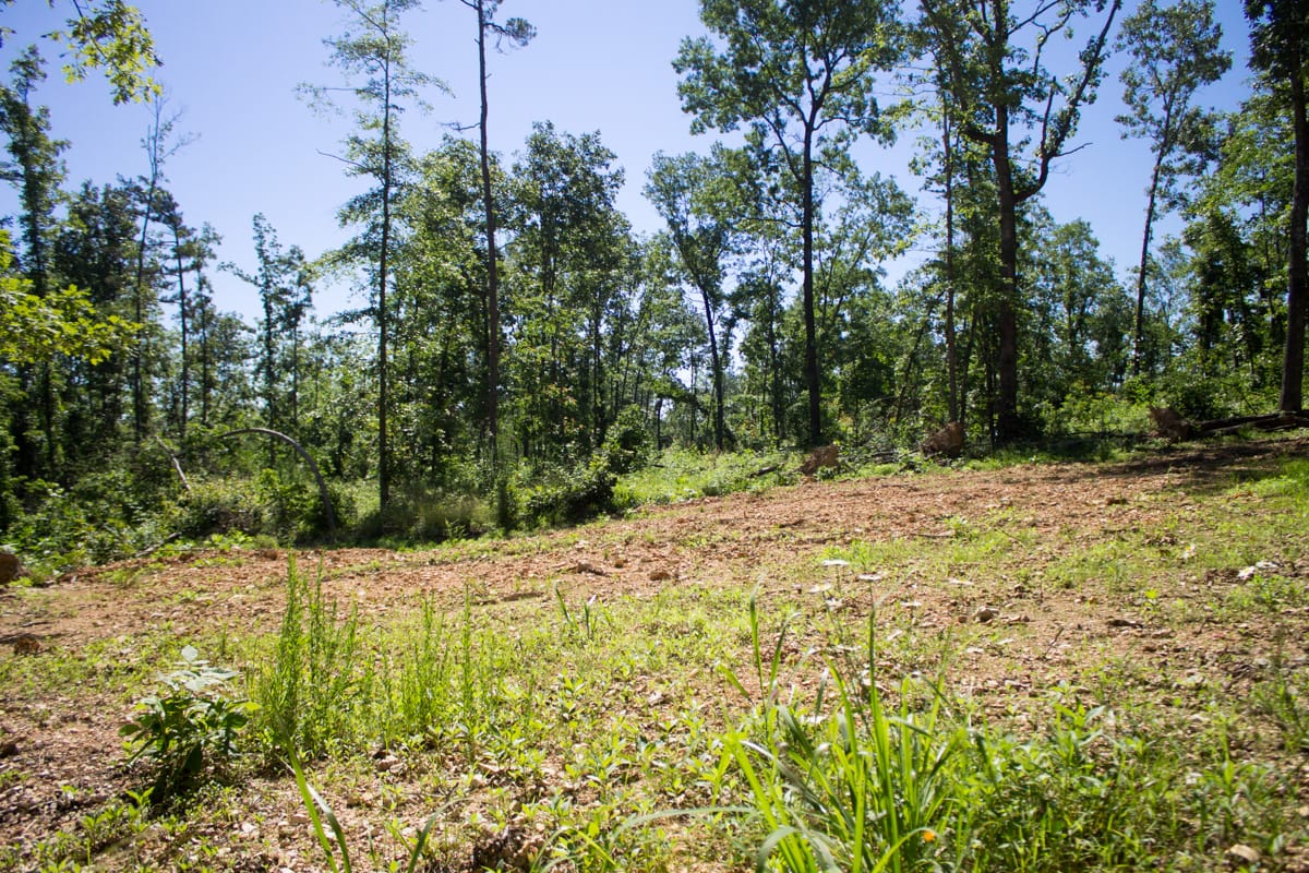 Timber Crossing Tract 5 photo 24