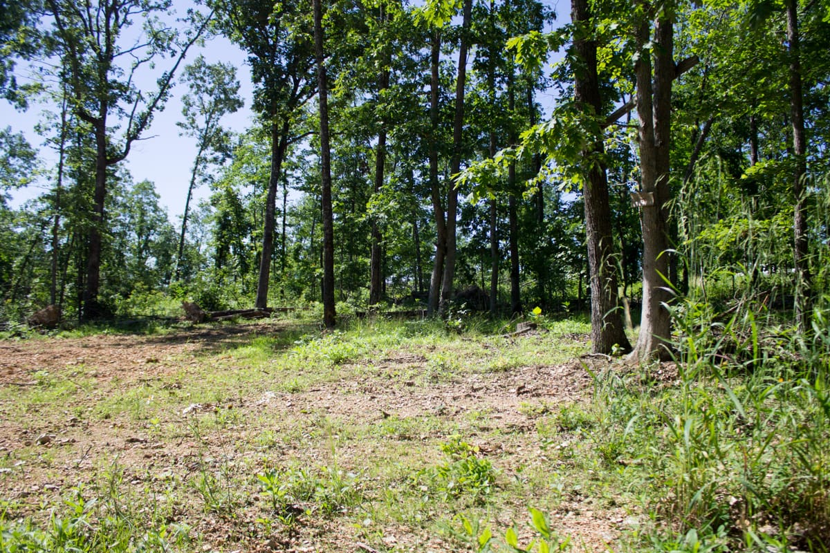 Timber Crossing Tract 5 photo 25