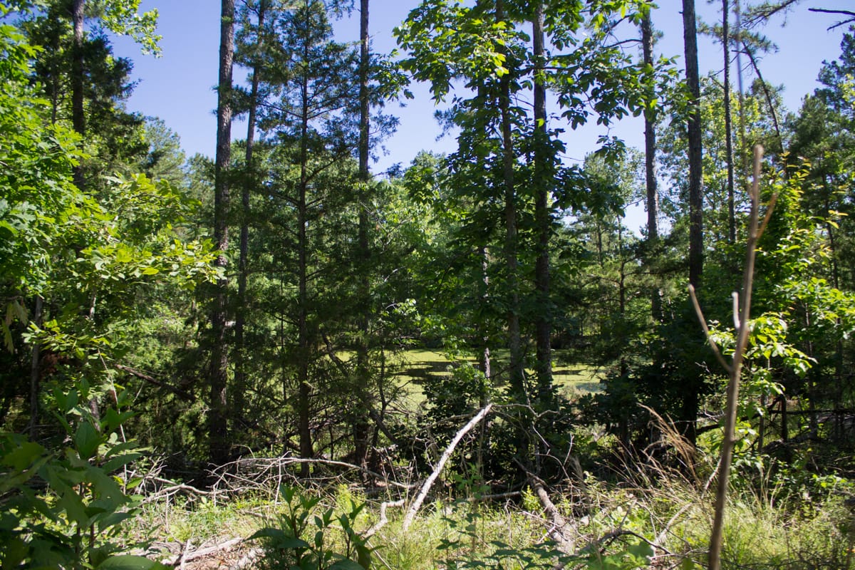Timber Crossing Tract 5 photo 27