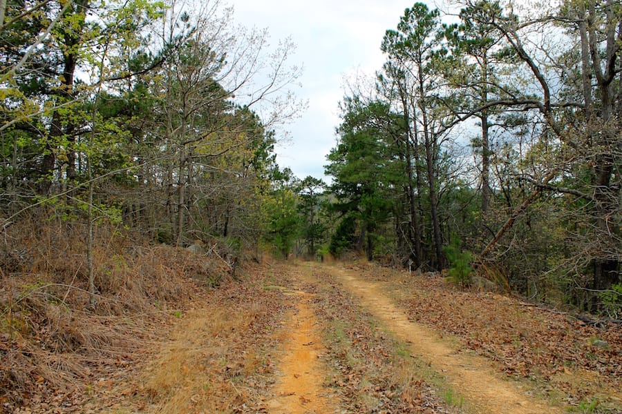 Trophy Ridge Phase III Tract 40 photo 1