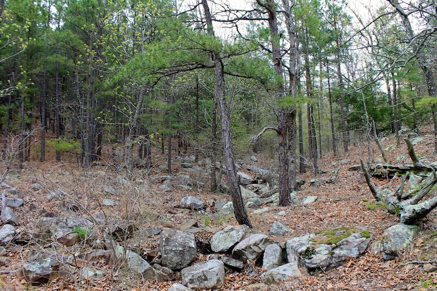 Trophy Ridge Phase III Tract 40 photo 10