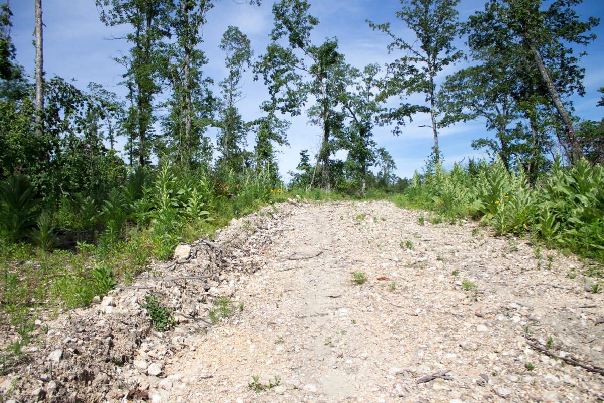 Timber Crossing Tract 14 photo 2