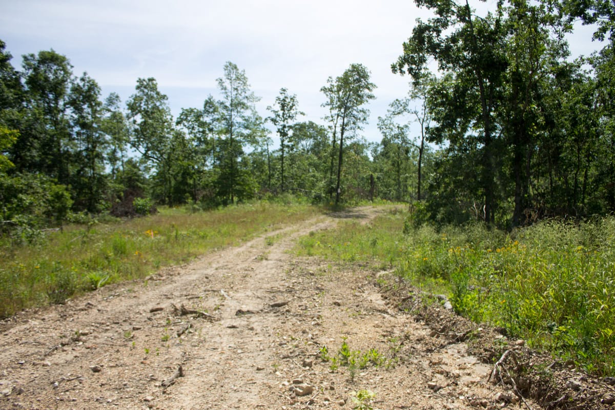Timber Crossing Tract 14 photo 3