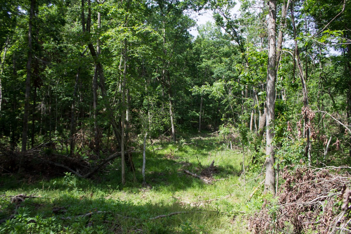 Timber Crossing Tract 14 photo 17