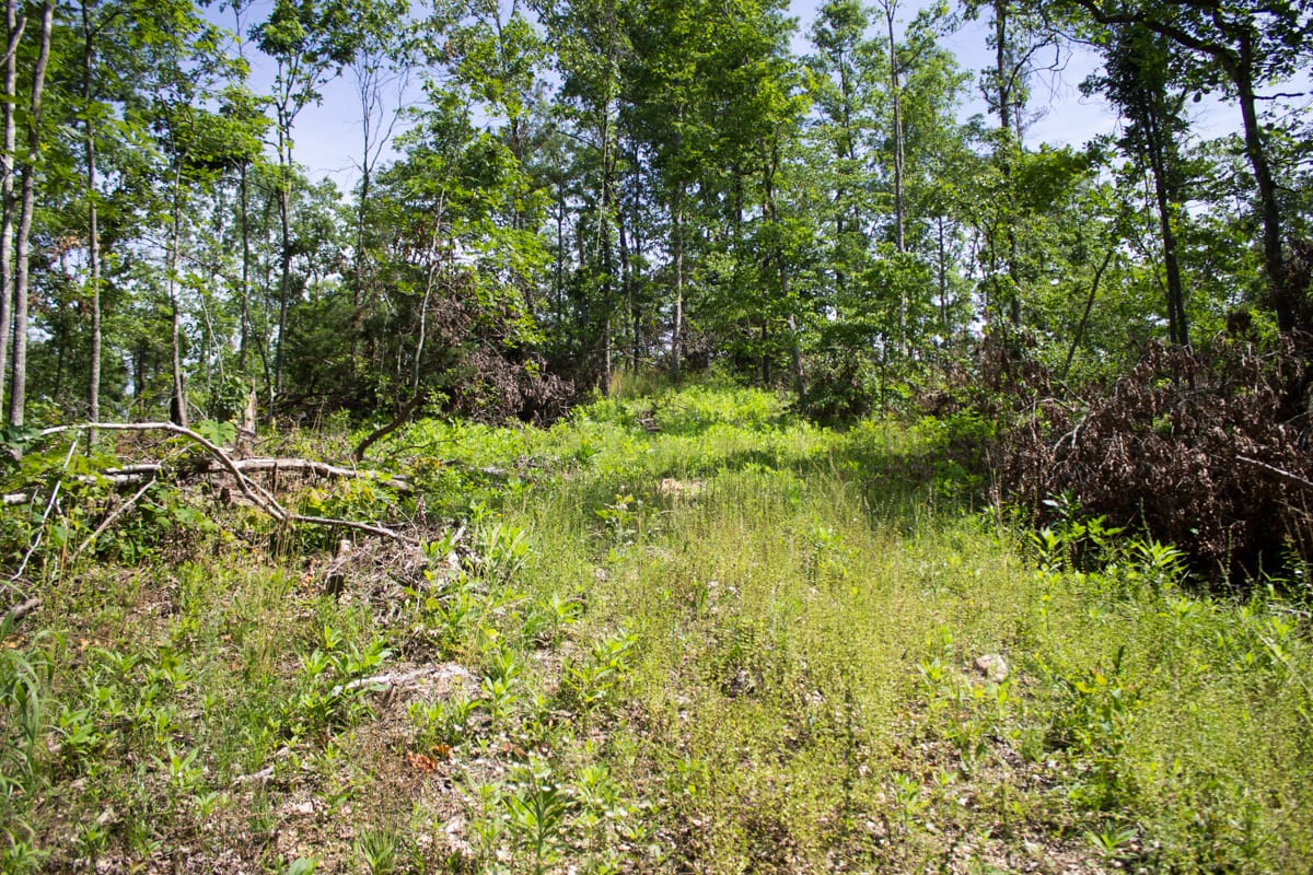 Timber Crossing Tract 14 photo 19