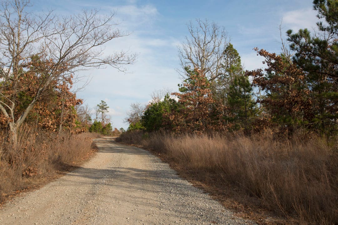 Stone Creek Phase III Tract 89 photo 2
