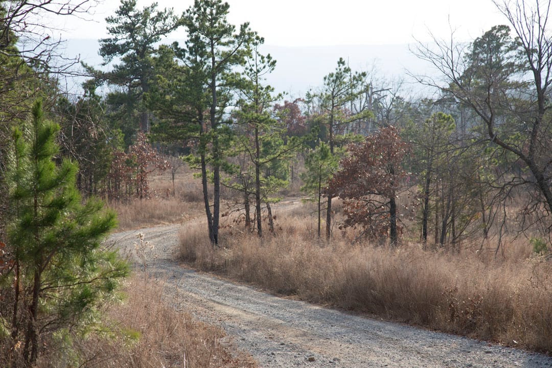 Stone Creek Phase III Tract 89 photo 3