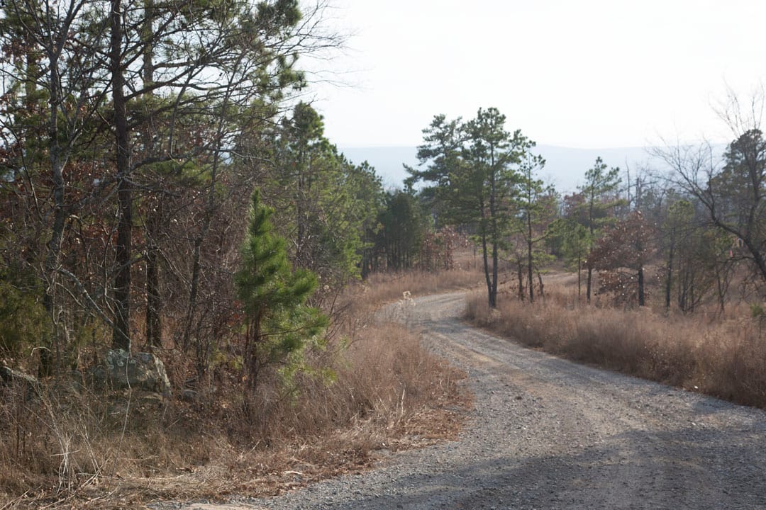 Stone Creek Phase III Tract 89 photo 4