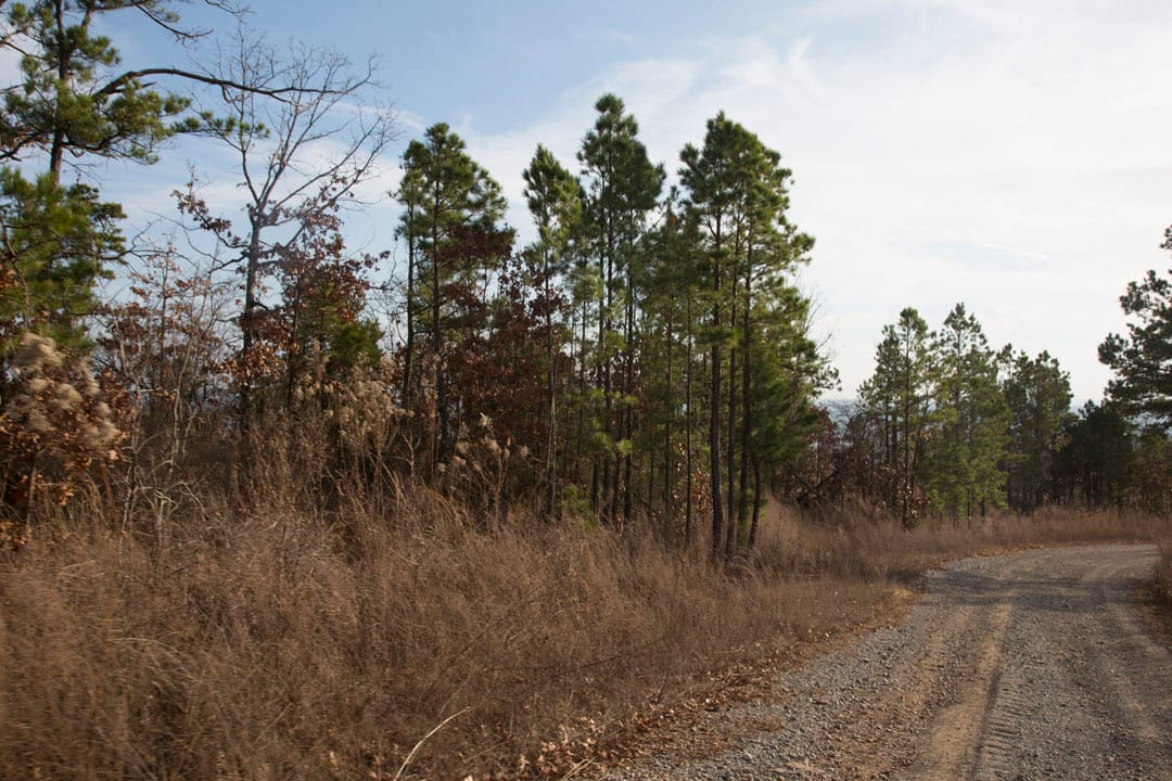 Stone Creek Phase III Tract 89 photo 5