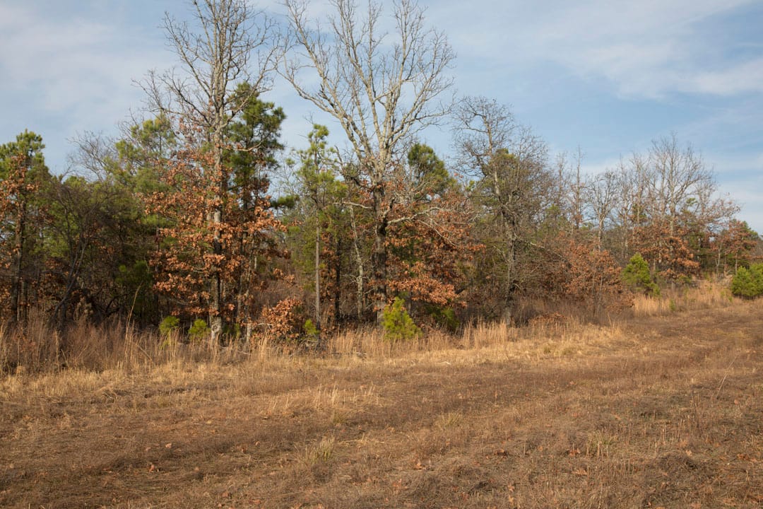 Stone Creek Phase III Tract 89 photo 9