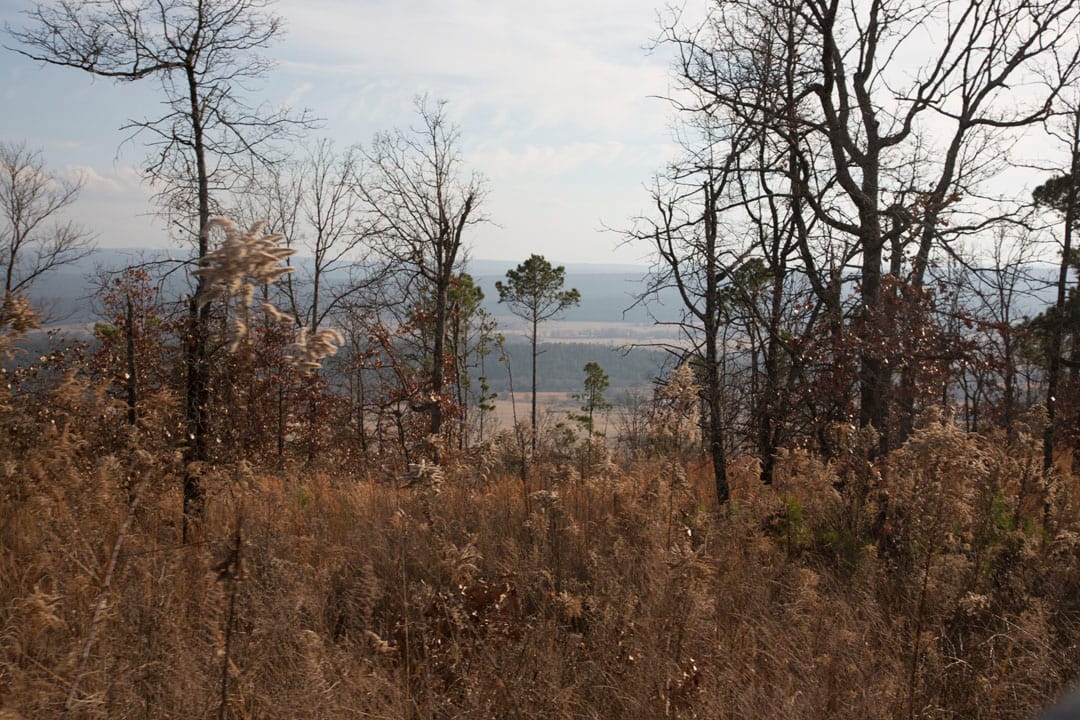 Stone Creek Phase III Tract 89 photo 13