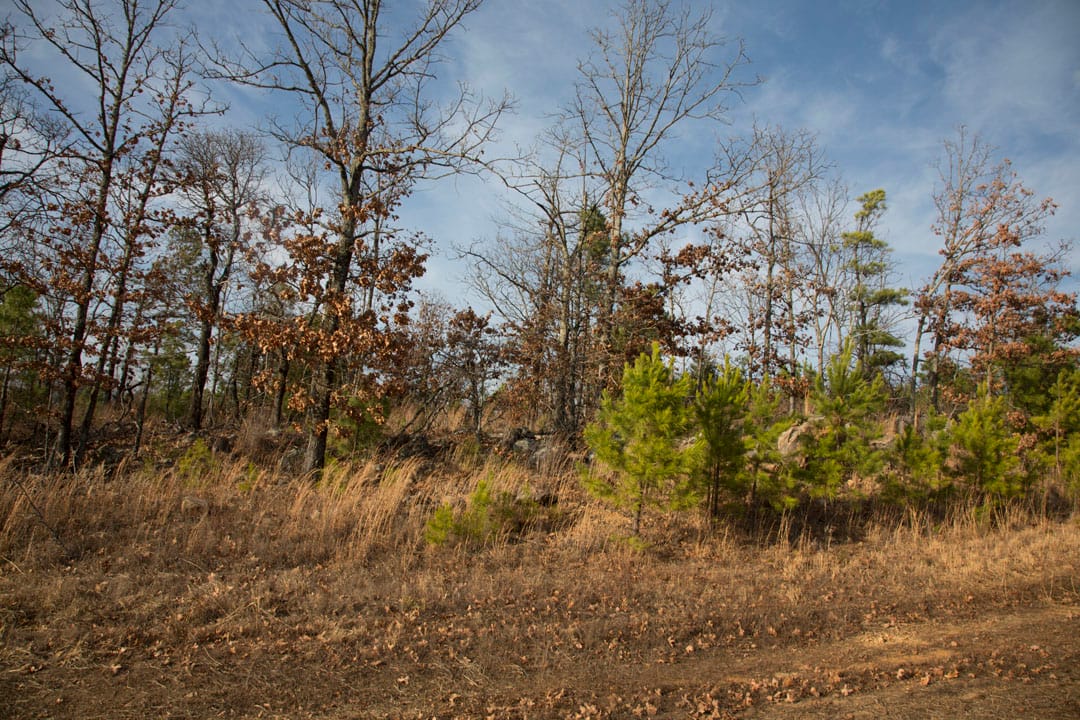 Stone Creek Phase III Tract 89 photo 14
