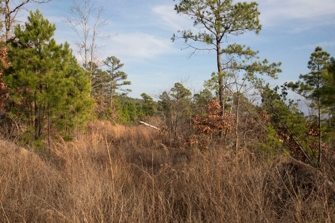 Stone Creek Phase III Tract 89 photo 16