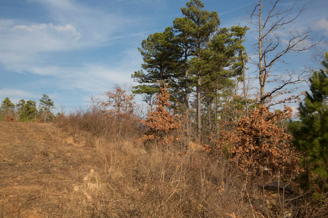 Stone Creek Phase III Tract 89 photo 17