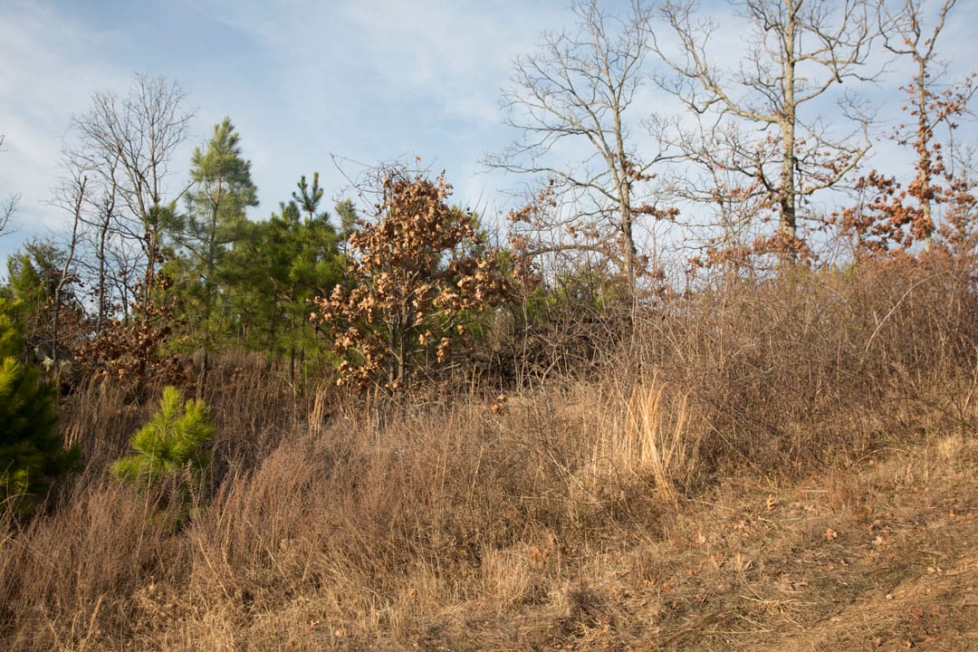 Stone Creek Phase III Tract 89 photo 18
