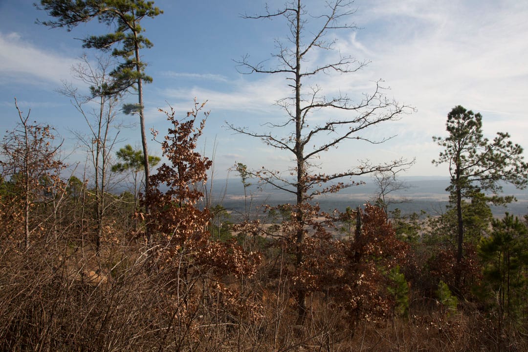 Stone Creek Phase III Tract 89 photo 19