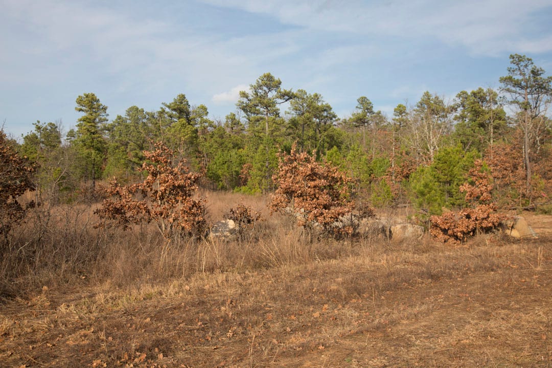 Stone Creek Phase III Tract 89 photo 22