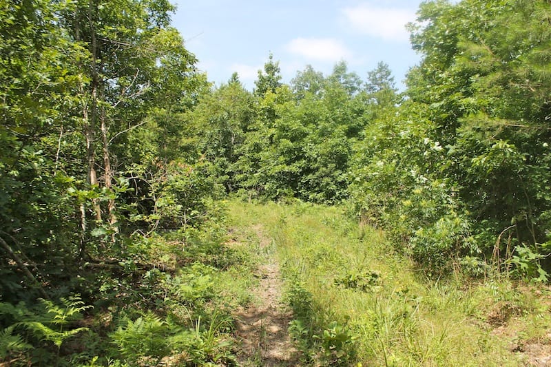 Green Mountain Ranch Tract 29 photo 1