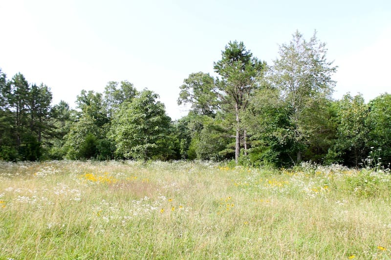 Green Mountain Ranch Tract 7 photo 3