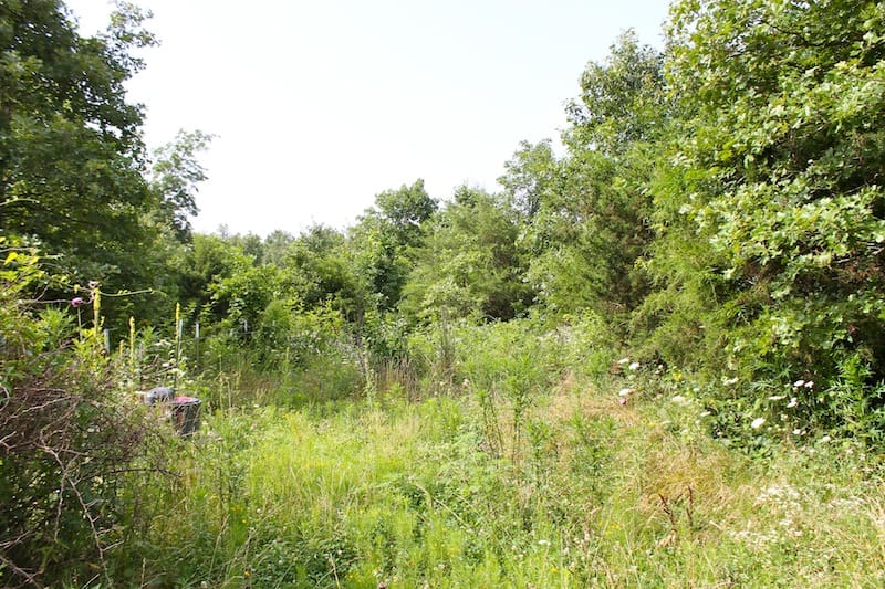 Green Mountain Ranch Tract 7 photo 5
