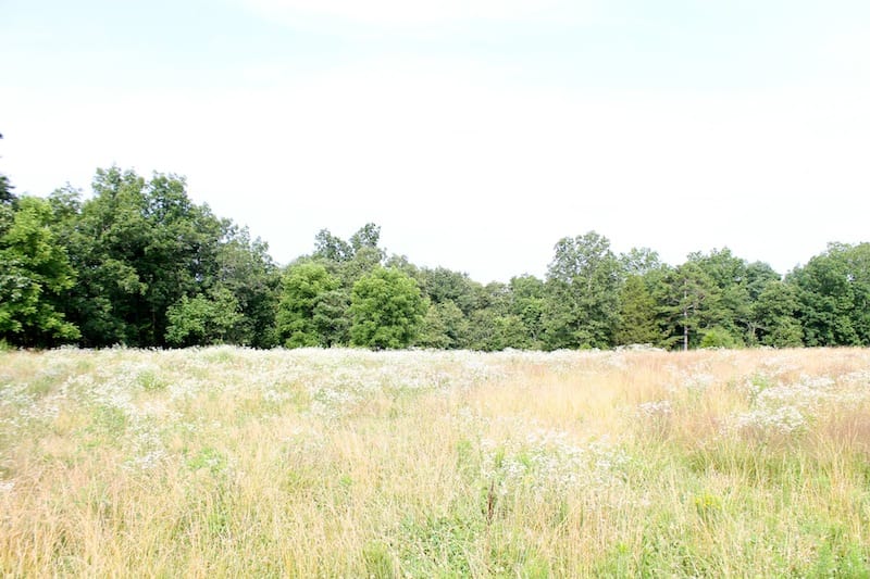 Green Mountain Ranch Tract 7 photo 7