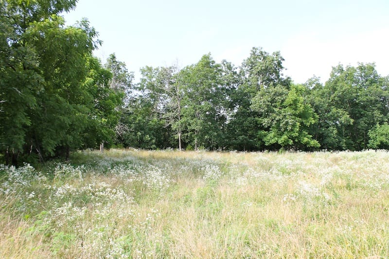 Green Mountain Ranch Tract 7 photo 8