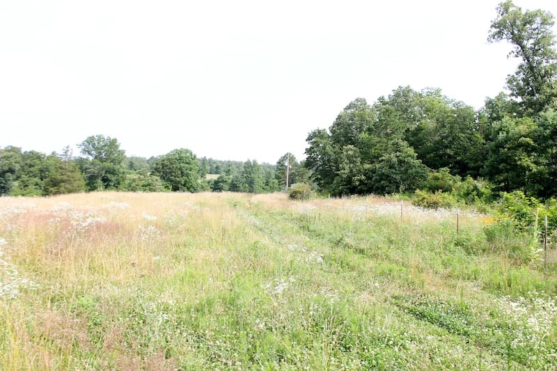Green Mountain Ranch Tract 7 photo 9
