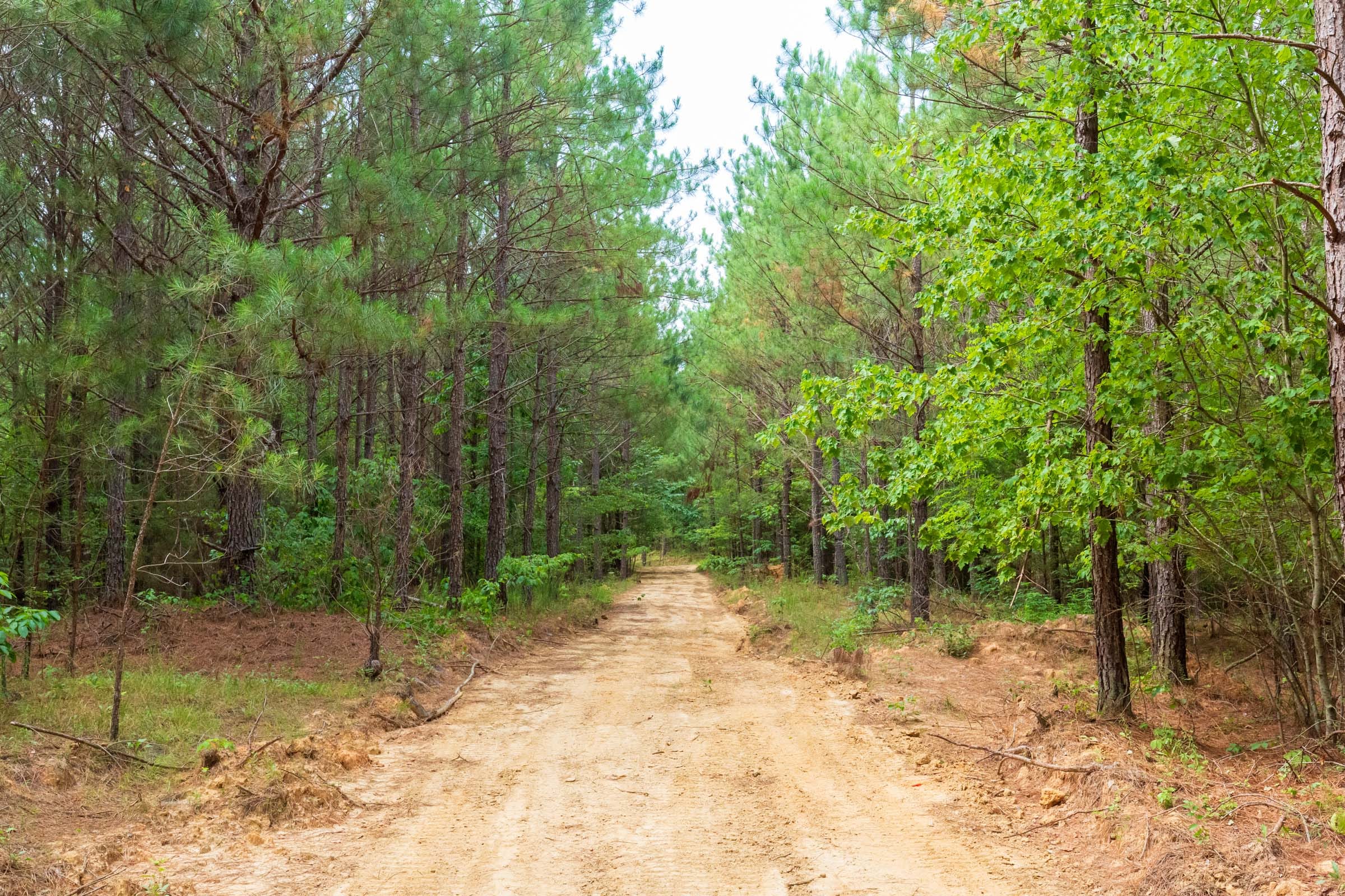 Whiskey Ridge Tract 94 photo 10