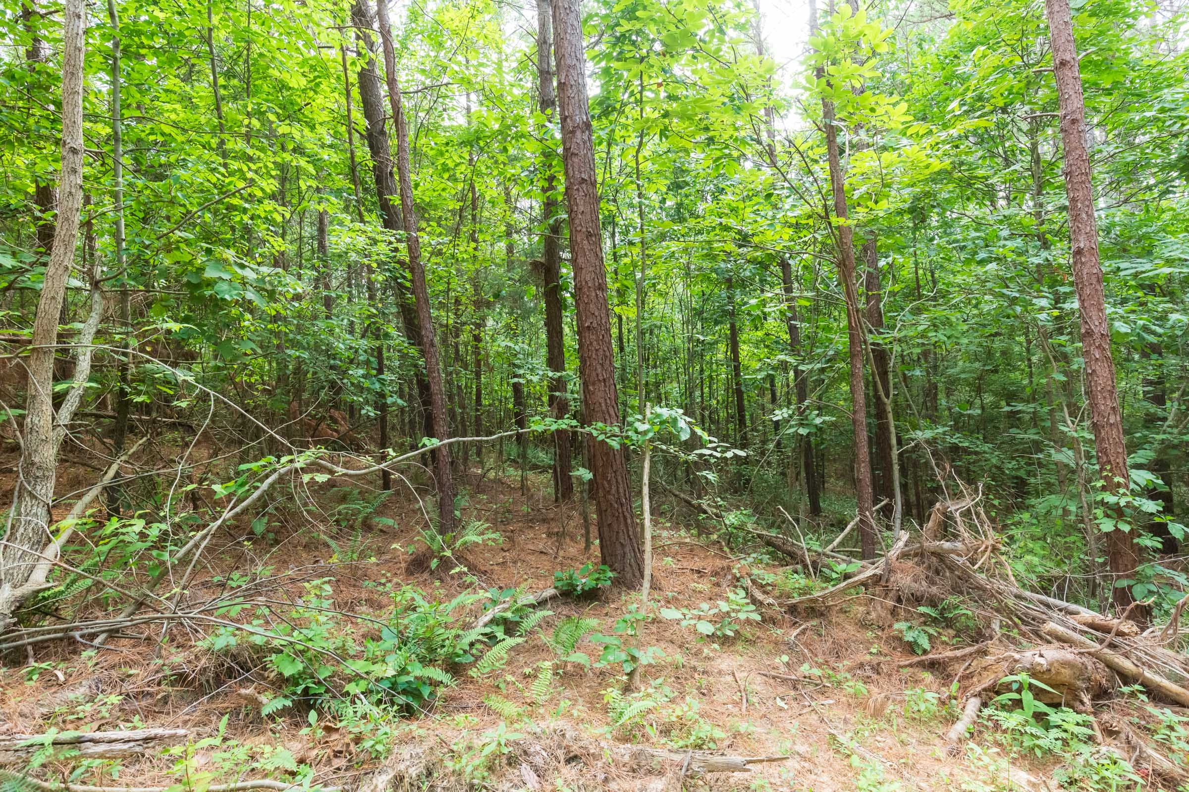 Whiskey Ridge Tract 94 photo 12