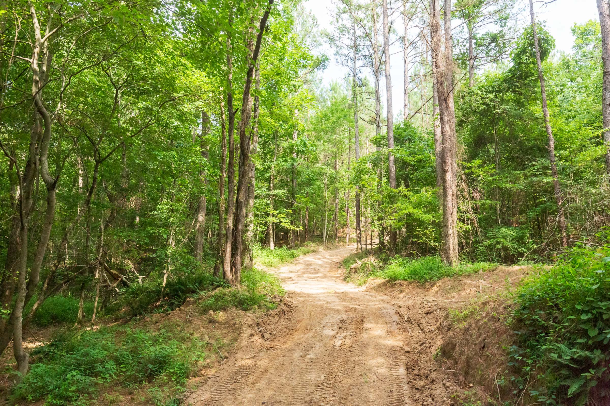 Whiskey Ridge Tract 94 photo 13