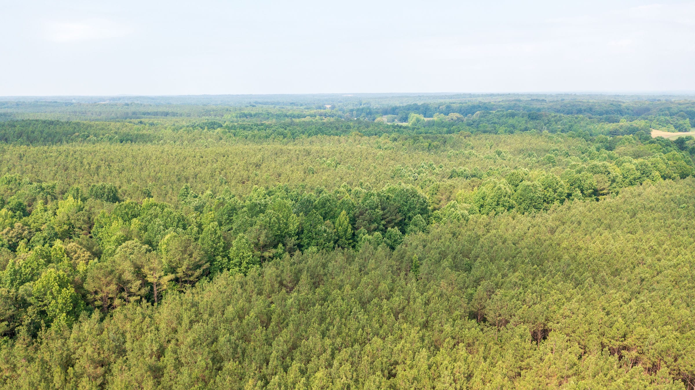 Whiskey Ridge Tract 94 photo 1