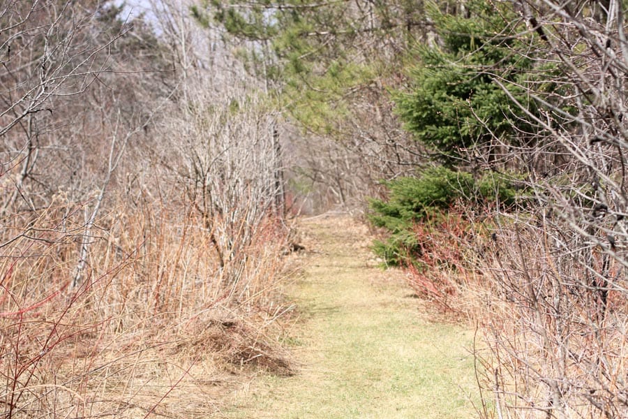 Sunrise Estates Tract 1 photo 12