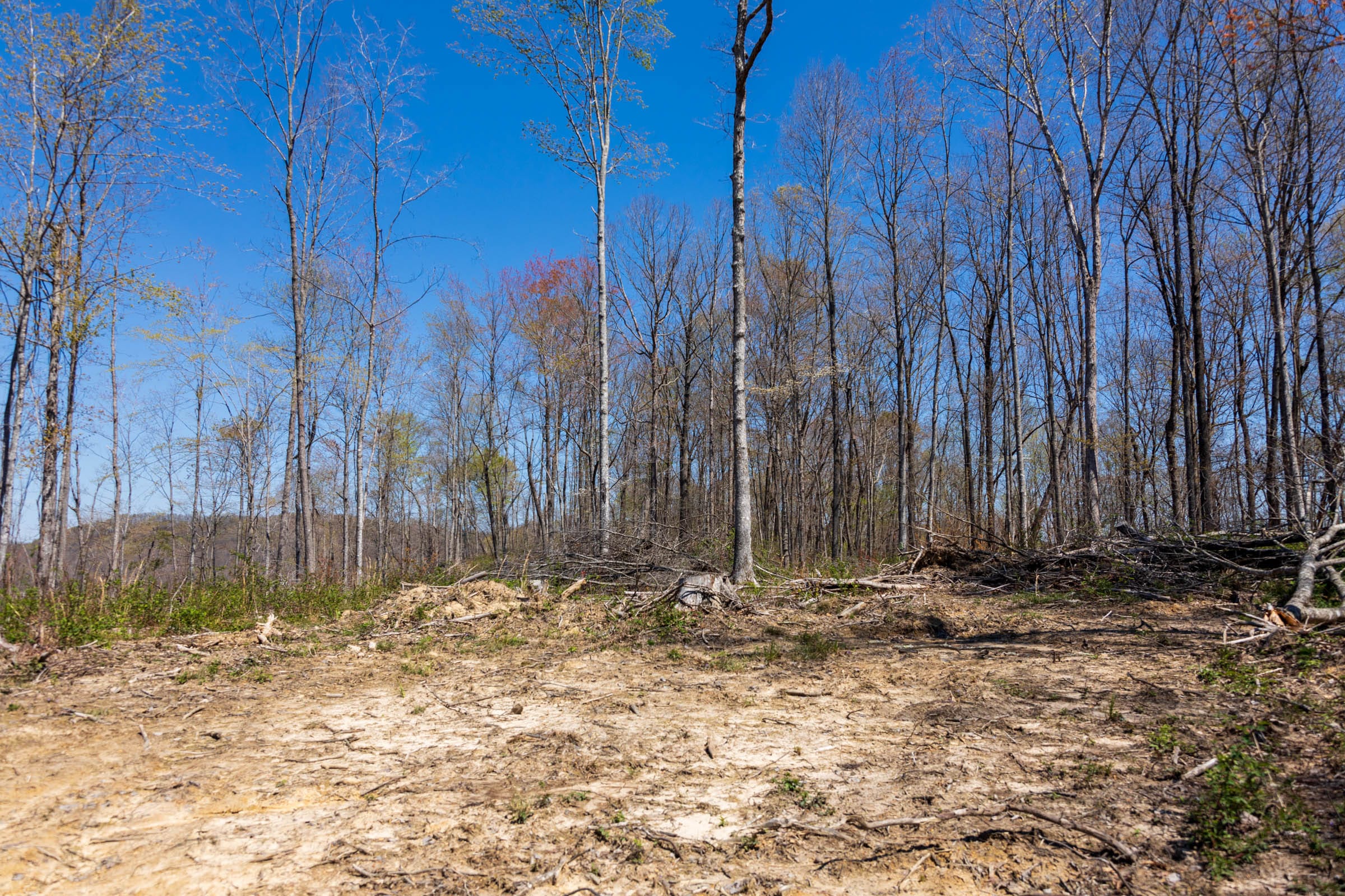 Creek Hollow Phase I Tract 55 photo 2
