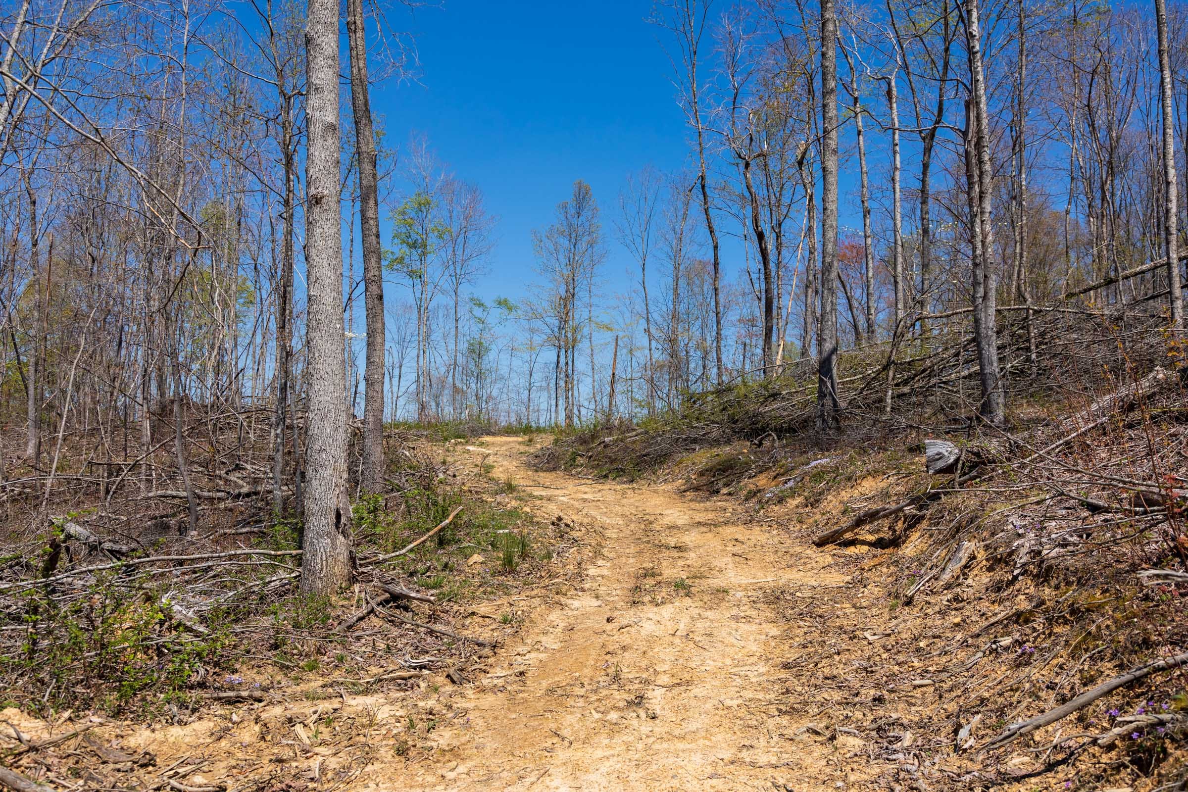 Creek Hollow Phase I Tract 55 photo 1