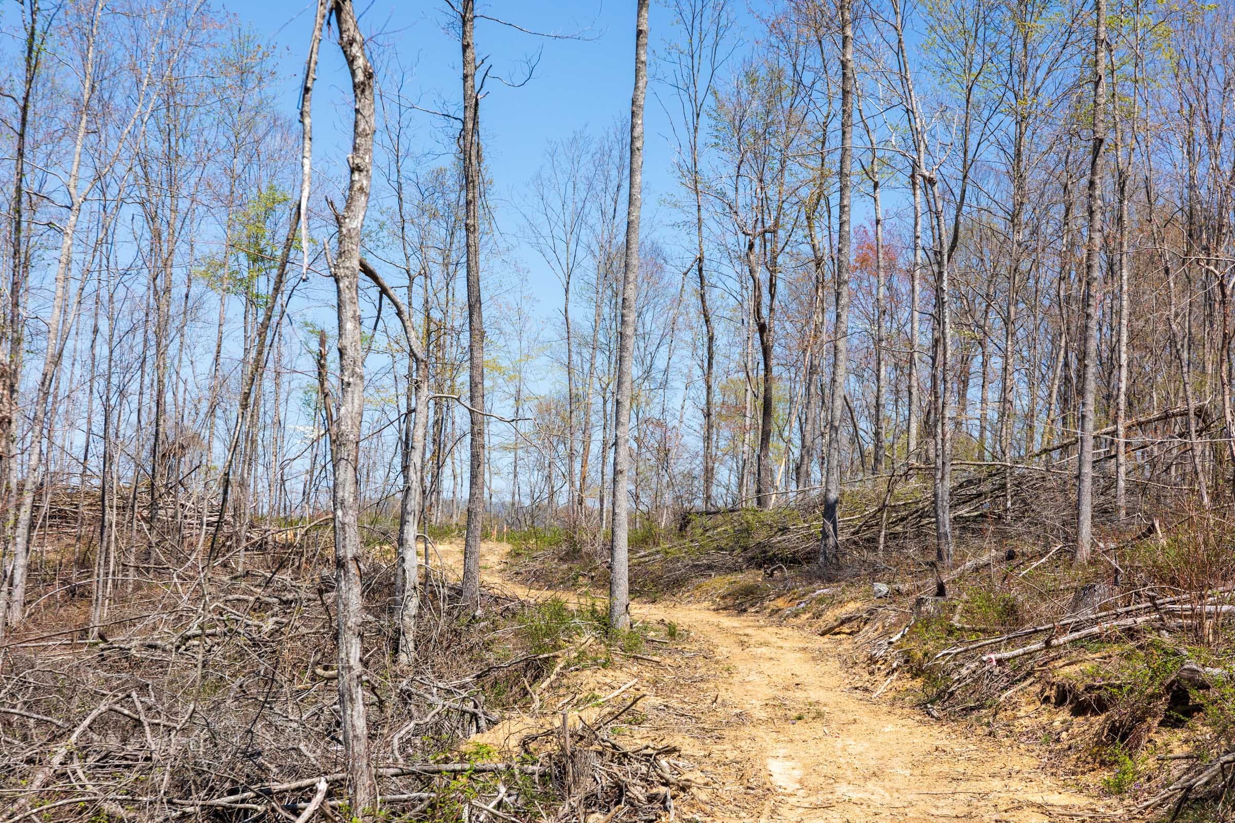 Creek Hollow Phase I Tract 55 photo 4