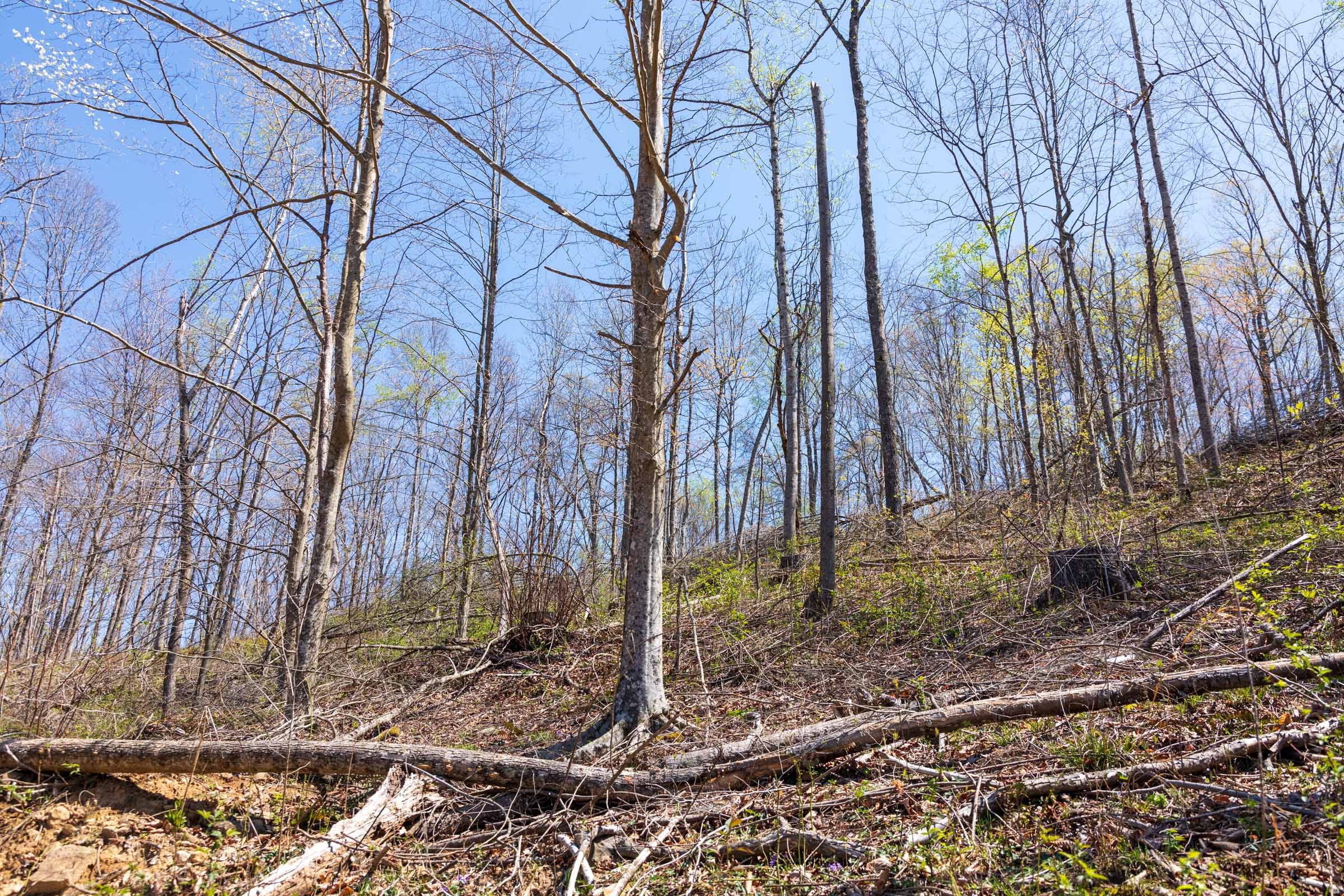 Creek Hollow Phase I Tract 55 photo 5