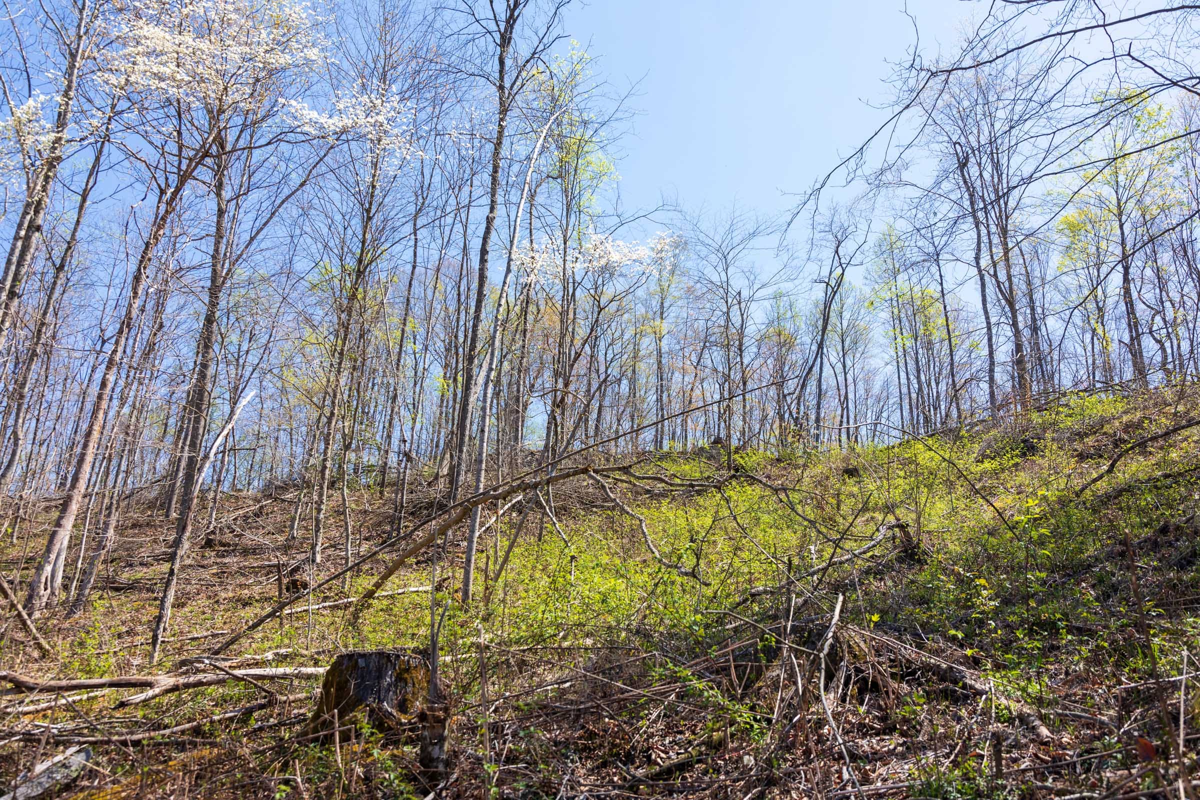 Creek Hollow Phase I Tract 55 photo 8