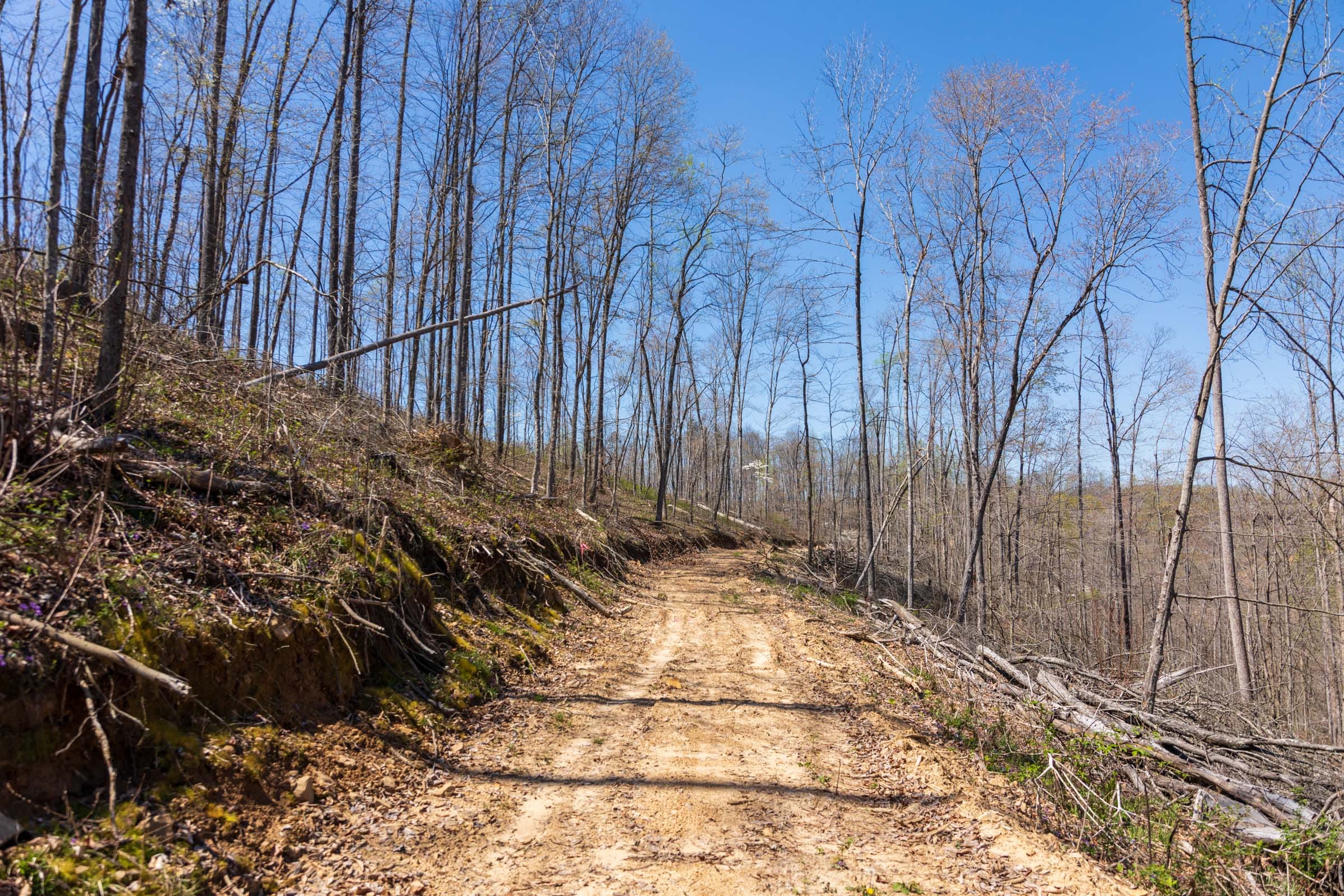 Creek Hollow Phase I Tract 55 photo 7
