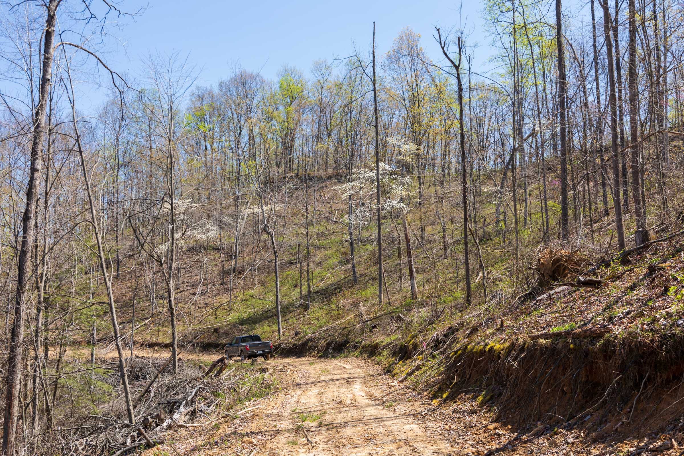 Creek Hollow Phase I Tract 55 photo 10