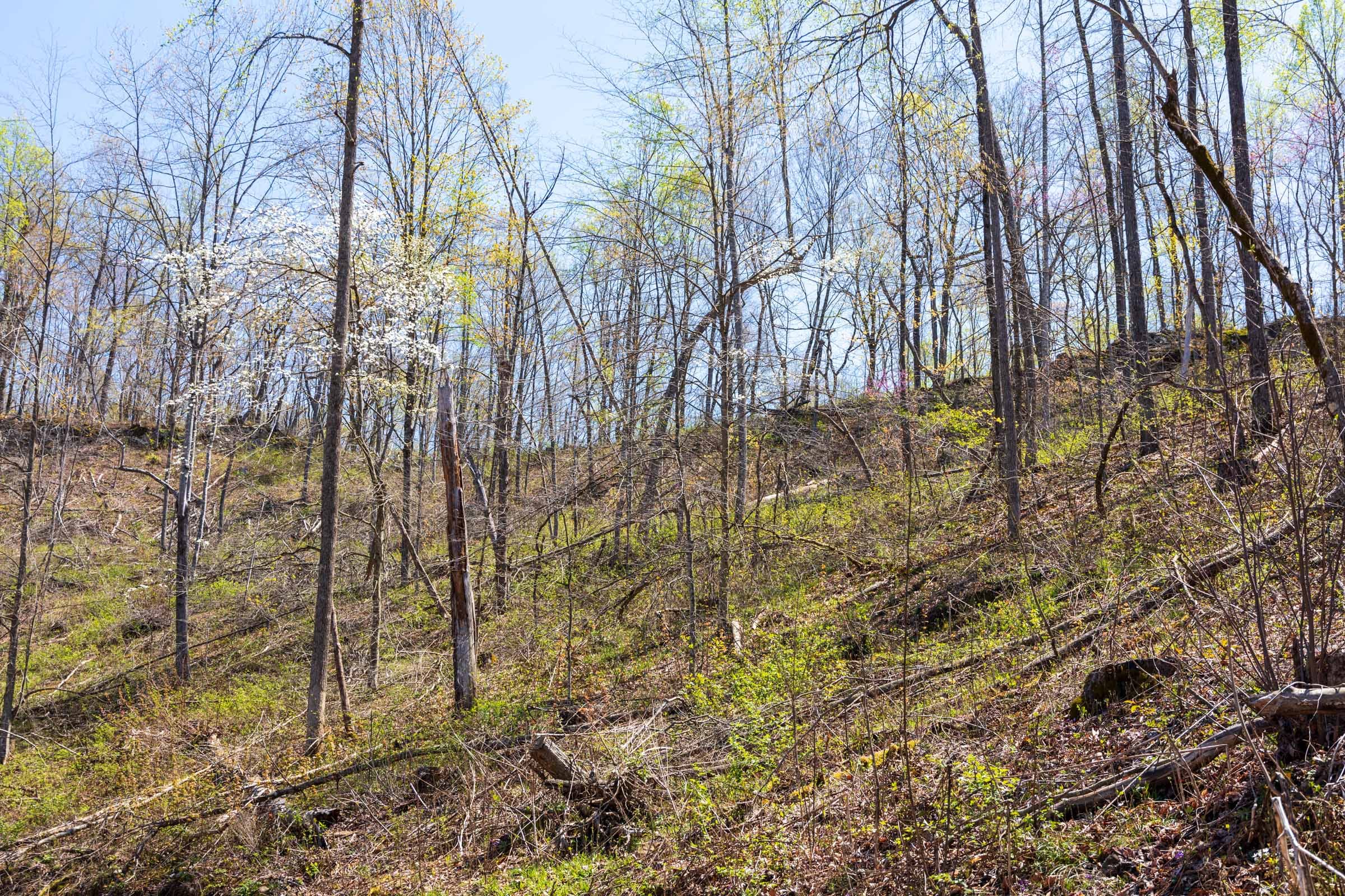 Creek Hollow Phase I Tract 55 photo 12