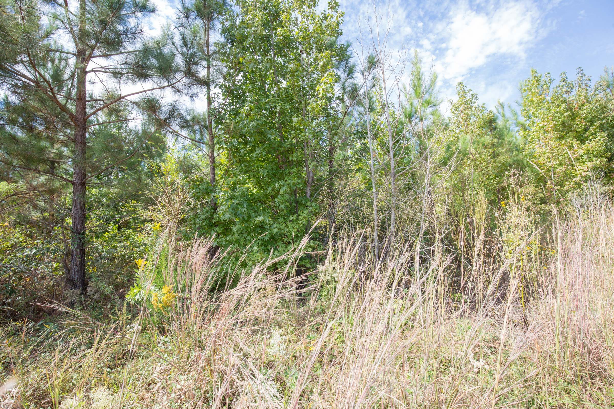 Brentwood Tract 7 photo 6