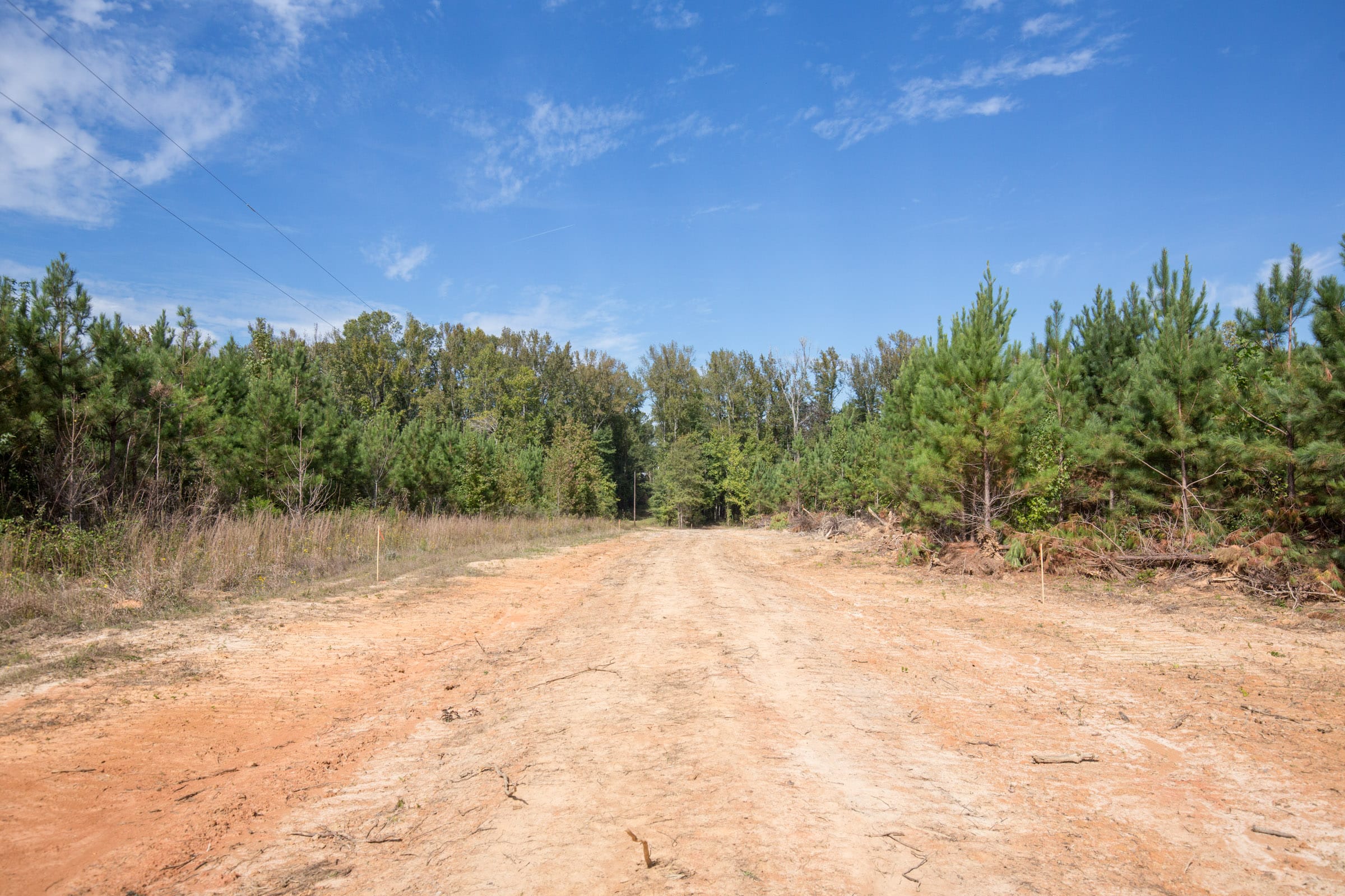 Brentwood Tract 7 photo 5