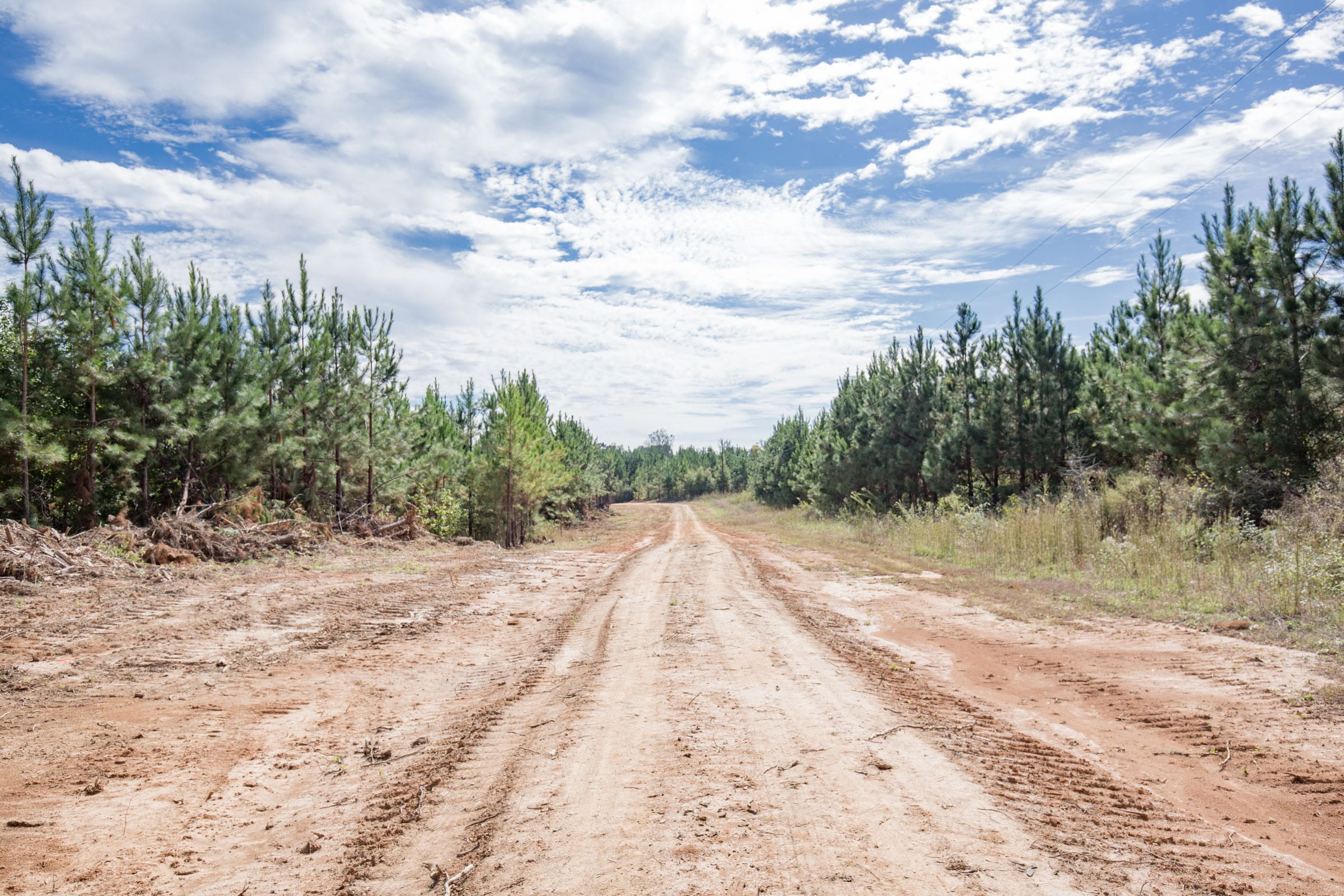 Brentwood Tract 7 photo 10