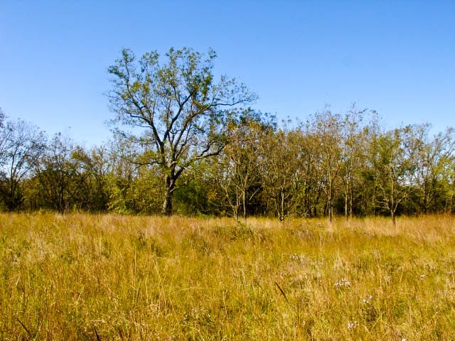 Saddlebrook Ranch Tract 18 photo 2