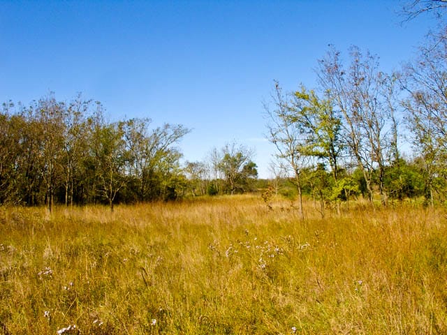 Saddlebrook Ranch Tract 18 photo 3