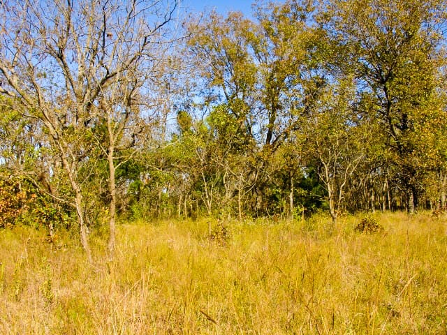 Saddlebrook Ranch Tract 18 photo 4