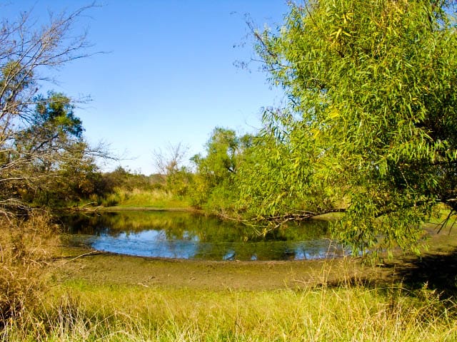 Saddlebrook Ranch Tract 18 photo 5